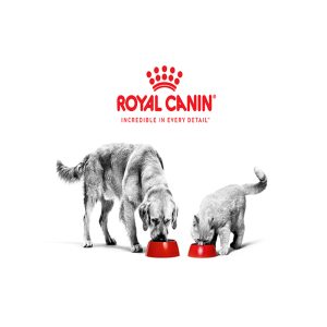 Royal Canin อาหารชนิดเปียก สำหรับแมวอายุ 1 ปีขึ้นไป ขนาด 85 g.