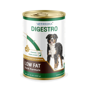 digestro low fat