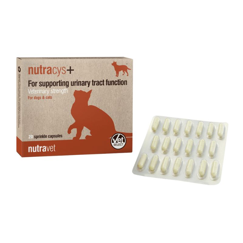 Nutracys+ นูทราซิส อาหารเสริมดูแลระบบทางเดินปัสสาวะสำหรับสุนัข และ แมว