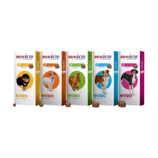 Bravecto ผลิตภัณฑ์ดูแลเห็บหมัด 1 Bravecto Dog