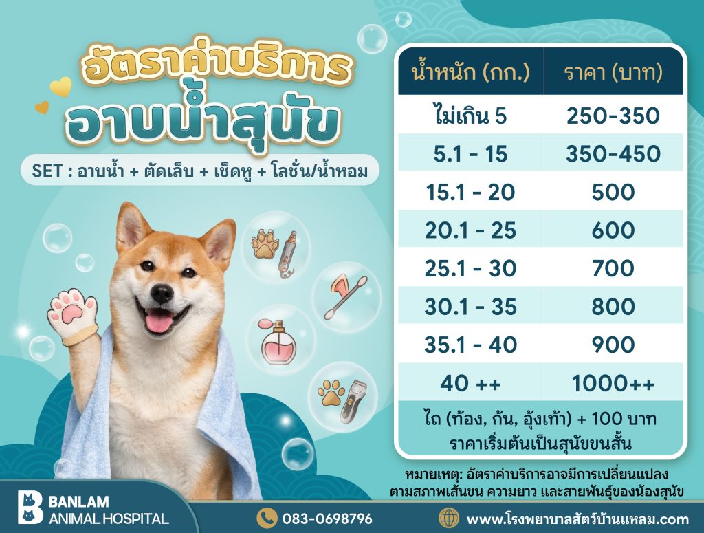 ค่าอาบน้ำสุนัข