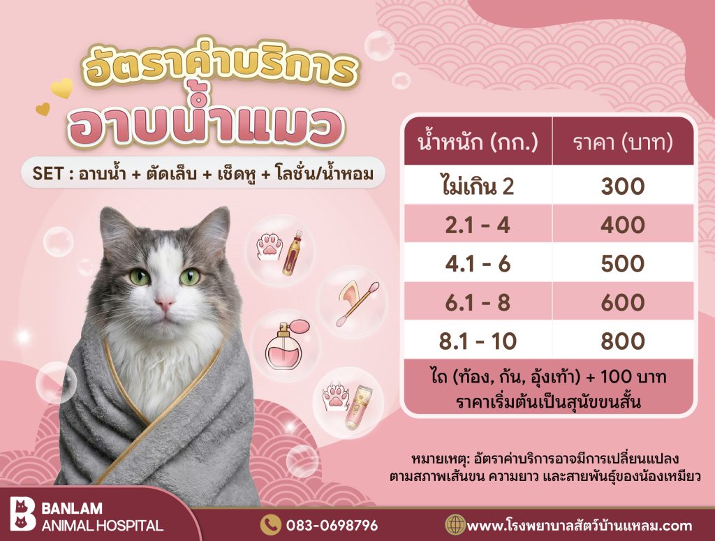 ค่าอาบน้ำแมว