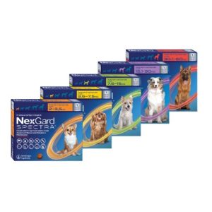 Nexgard Spectra for dog ชนิดเม็ดเคี้ยว