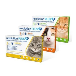 Revolution Plus