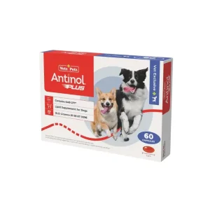 Antinol Dog