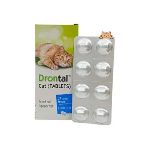 Drontal cat