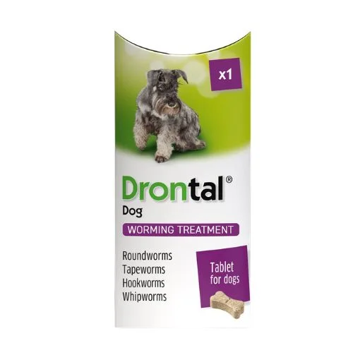 Drontal Dog ถ่ายพยาธิสำหรับสุนัข 1 Drontal Dog