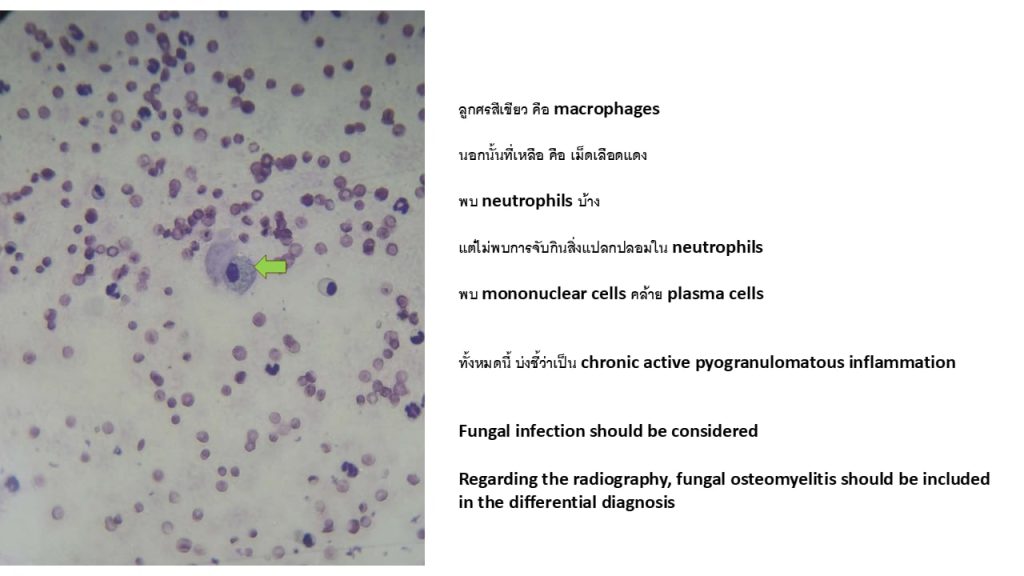 Blood Morphology1
