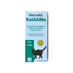 KATSAMe cat