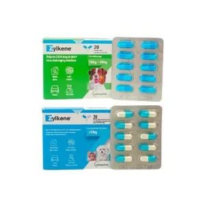 Zylkene  อาหารเสริม ลดเครียด คลายกังวลสำหรับสุนัขและแมว
