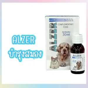 Alzer
