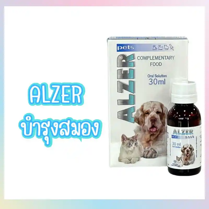 Alzer Pets อาหารเสริมบำรุงสมองและระบบประสาท สำหรับสุนัขและแมว 1 Alzer