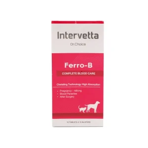 Ferro-B1