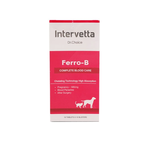 Ferrob บำรุงเลือด สำหรับ สุนัขและแมว 1 Ferrob1