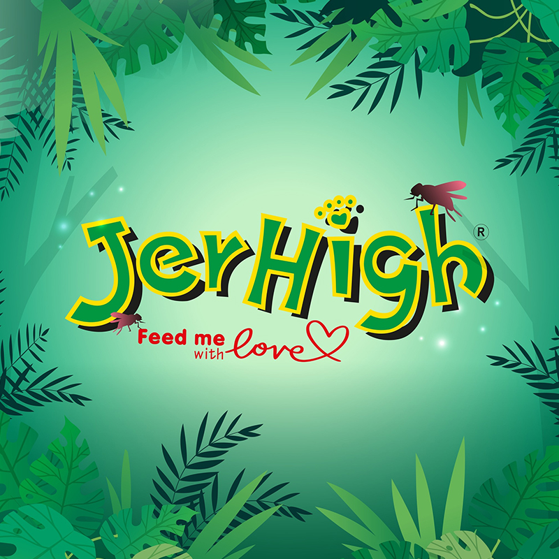Jerhigh อาหารเปียก 1 Jerhigh