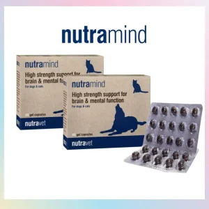 Nutramind บำรุงสมอง สุนัขและแมว