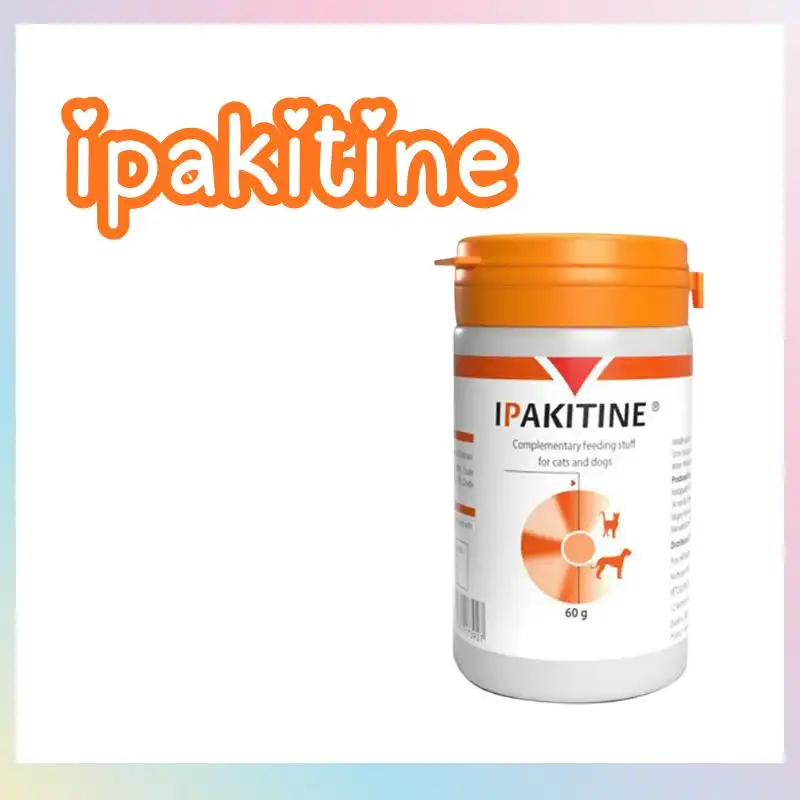Ipakitine อาหารเสริมบำรุงไต แบบผง 1 กระปุก 60 กรัม 1 Ipakitine อาหารเสริมบำรุงไต แบบผง 1 กระปุก 60 กรัม